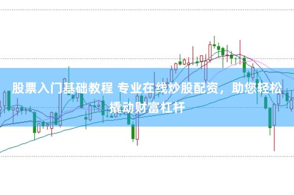 股票入门基础教程 专业在线炒股配资，助您轻松撬动财富杠杆