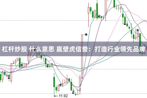 杠杆炒股 什么意思 赢壁虎信誉：打造行业领先品牌