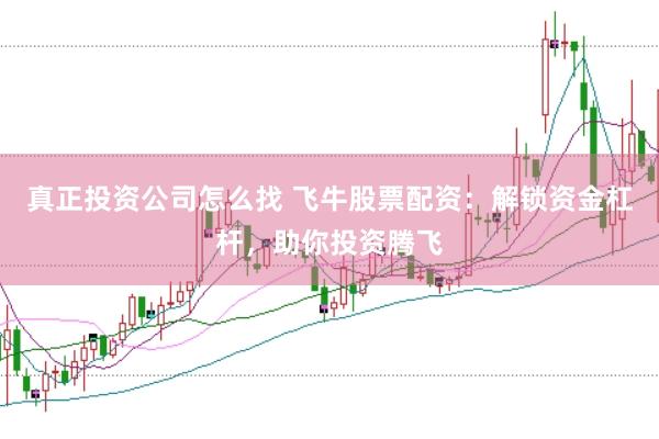 真正投资公司怎么找 飞牛股票配资：解锁资金杠杆，助你投资腾飞