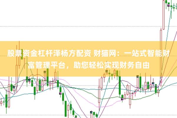 股票资金杠杆泽杨方配资 财猫网：一站式智能财富管理平台，助您轻松实现财务自由