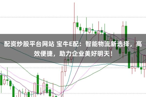 配资炒股平台网站 宝牛E配：智能物流新选择，高效便捷，助力企业美好明天！