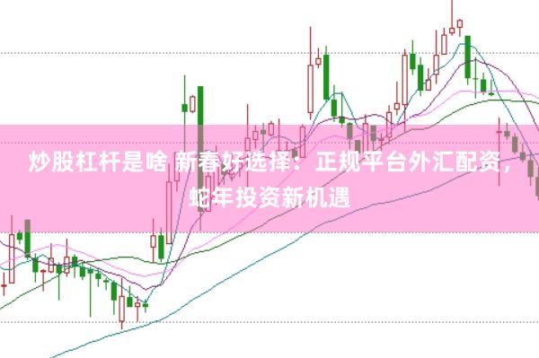 炒股杠杆是啥 新春好选择：正规平台外汇配资，蛇年投资新机遇