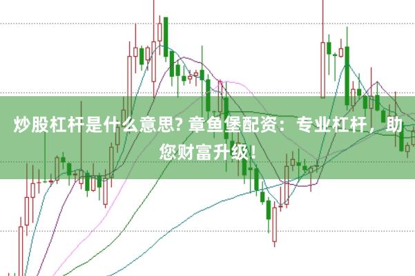 炒股杠杆是什么意思? 章鱼堡配资：专业杠杆，助您财富升级！