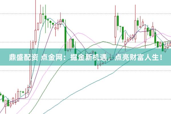 鼎盛配资 点金网：掘金新机遇，点亮财富人生！