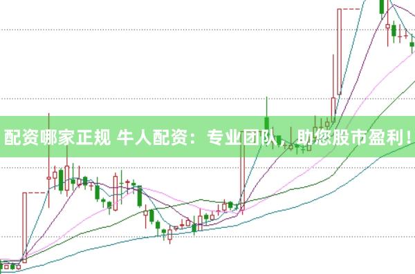 配资哪家正规 牛人配资：专业团队，助您股市盈利！