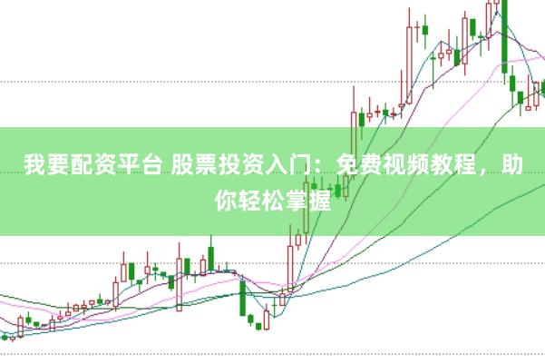 我要配资平台 股票投资入门：免费视频教程，助你轻松掌握