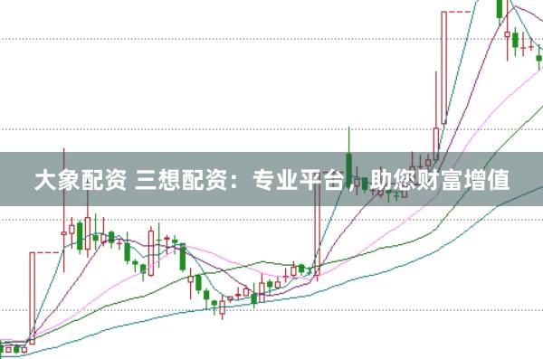 大象配资 三想配资：专业平台，助您财富增值