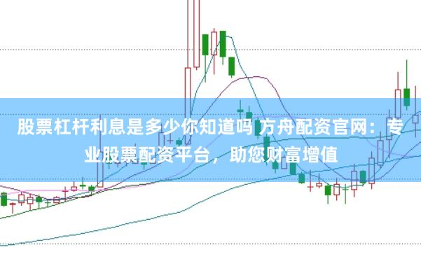 股票杠杆利息是多少你知道吗 方舟配资官网：专业股票配资平台，助您财富增值