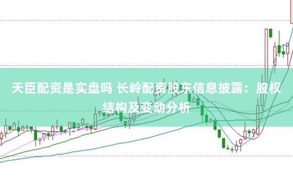 天臣配资是实盘吗 长岭配资股东信息披露：股权结构及变动分析