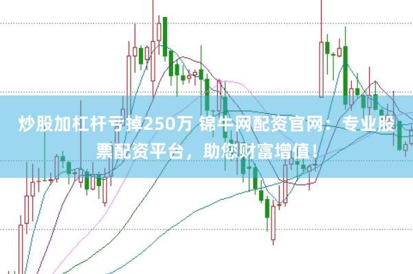 炒股加杠杆亏掉250万 锦牛网配资官网：专业股票配资平台，助您财富增值！