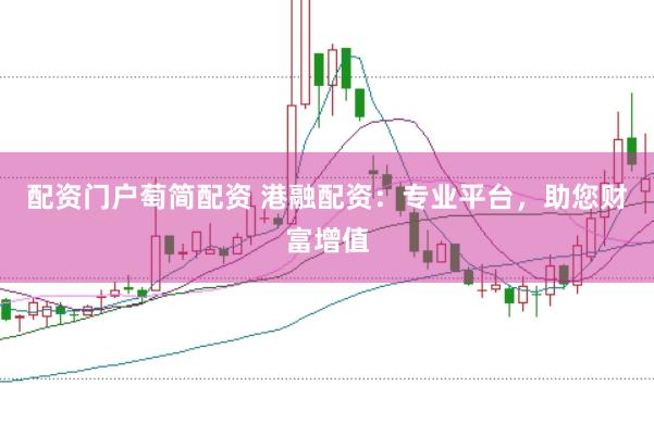 配资门户萄简配资 港融配资：专业平台，助您财富增值