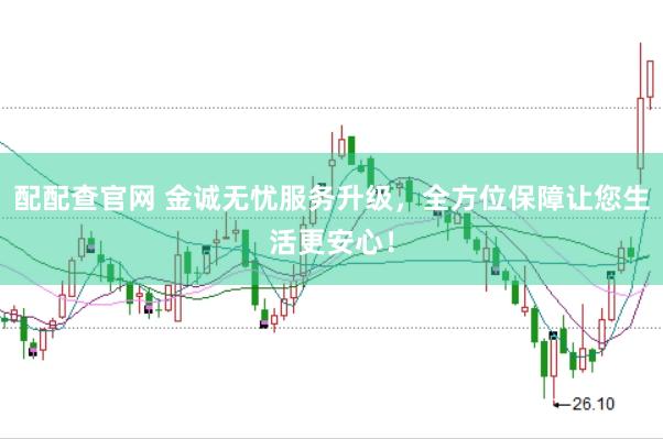 配配查官网 金诚无忧服务升级，全方位保障让您生活更安心！