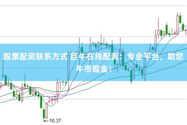 股票配资联系方式 巨牛在线配资：专业平台，助您牛市掘金！