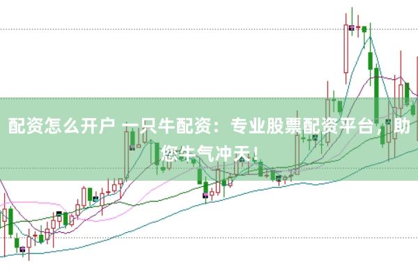 配资怎么开户 一只牛配资：专业股票配资平台，助您牛气冲天！
