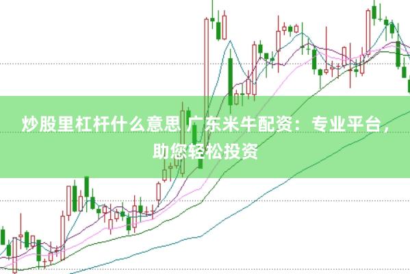 炒股里杠杆什么意思 广东米牛配资：专业平台，助您轻松投资