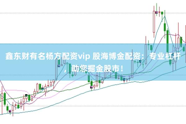 鑫东财有名杨方配资vip 股海博金配资：专业杠杆，助您掘金股市！