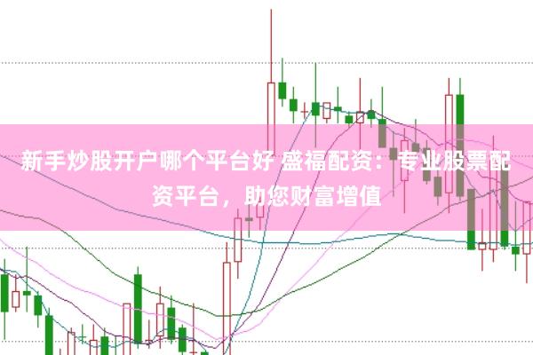 新手炒股开户哪个平台好 盛福配资：专业股票配资平台，助您财富增值