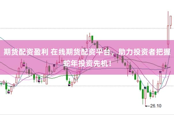 期货配资盈利 在线期货配资平台,助力投资者把握蛇年投资先机!
