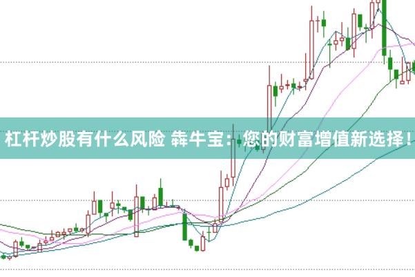 杠杆炒股有什么风险 犇牛宝：您的财富增值新选择！