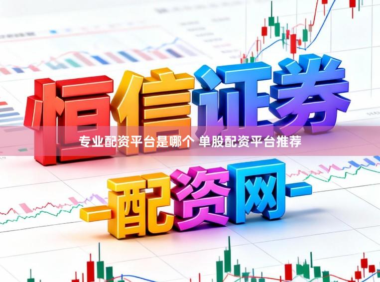 专业配资平台是哪个 单股配资平台推荐