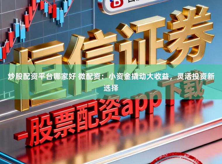炒股配资平台哪家好 微配资：小资金撬动大收益，灵活投资新选择